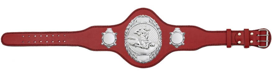 MMA CHAMPIONSHIP BELT-PLT286/S/MMAS-4 COLOURS MMA CHAMPIONSHIP BELT-PLT286/S/MMAS-4 COLOURS